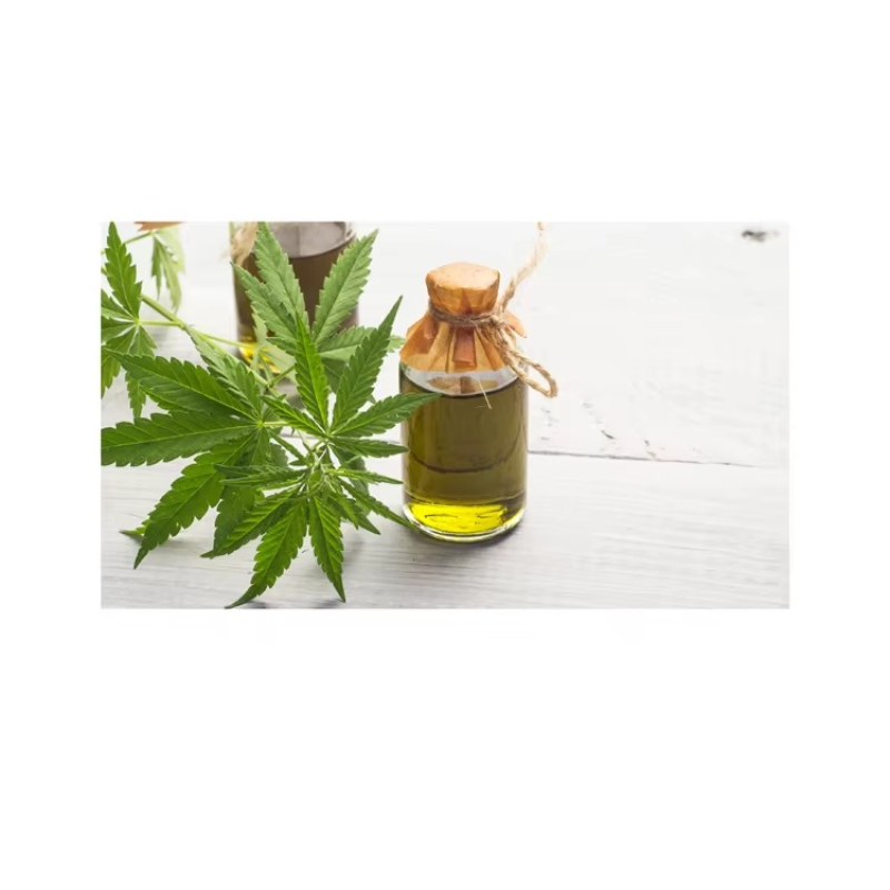 Bulk Organic Hemp Seed Oil for International Trade