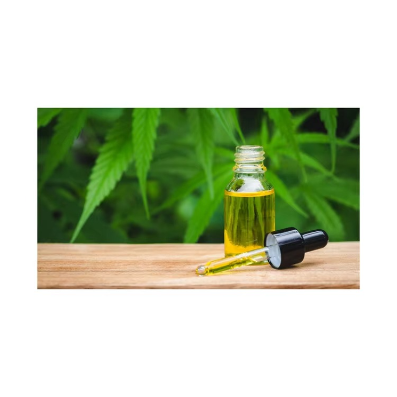 Bulk Organic Hemp Seed Oil for International Trade