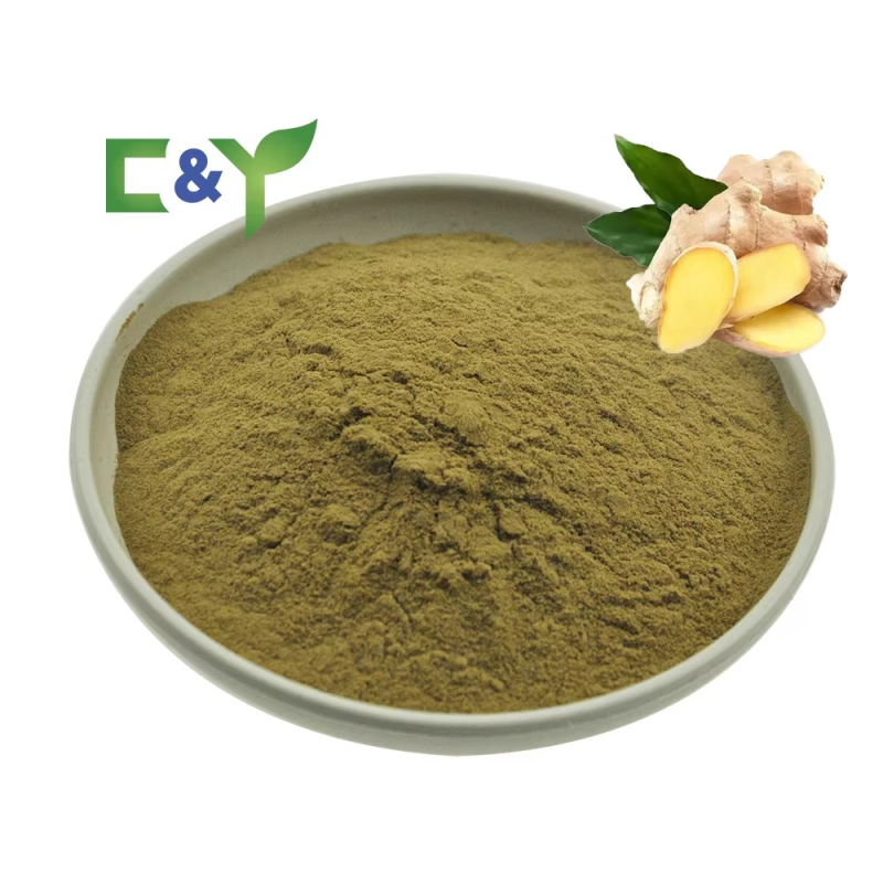 Bulk Quantity China Ginger Powder Ginger Powder 1 kg Dried Ginger Powder
